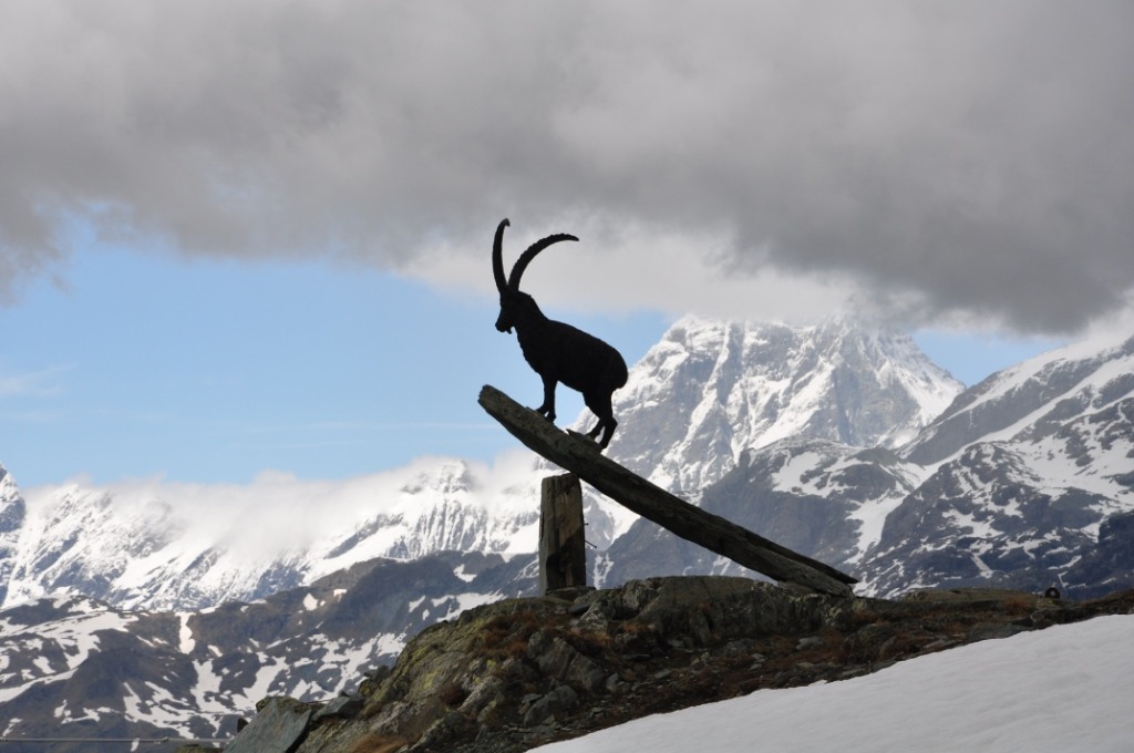 Champoluc